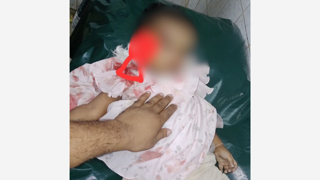 লক্ষ্মীপুরে বাবার মোটরসাইকেল থেকে ছিটকে পড়ে শিশুর মৃত্যু